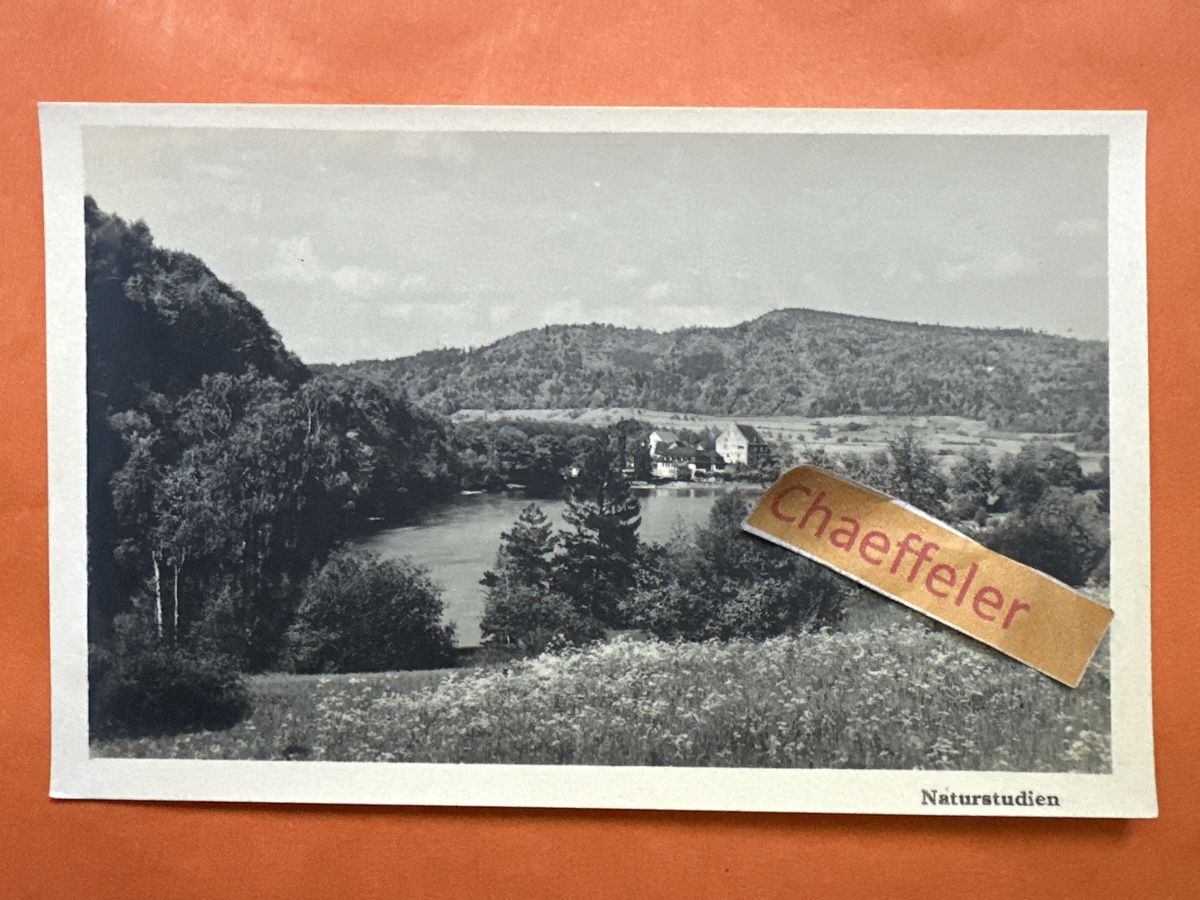 Cartoline postali: Naturstudien:  8  Mühle bei Bibern – Usato da Zürich venduto da Chaeffeler