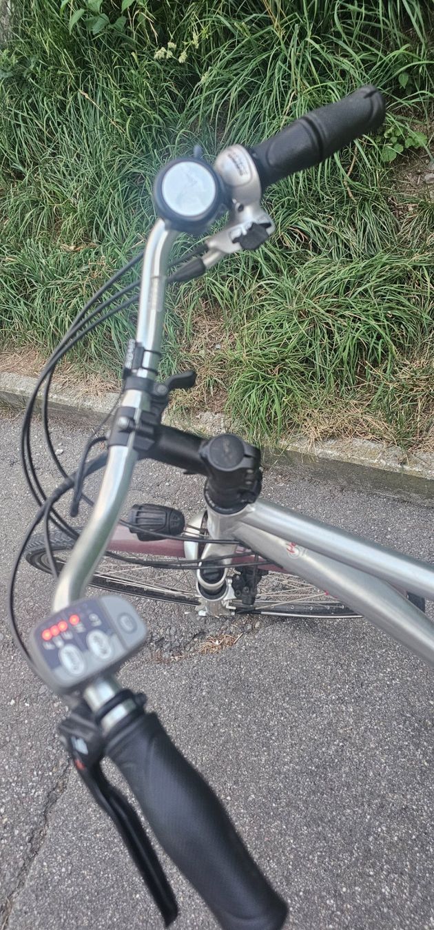 Flyer Vélos: Ebike Flyer 45kmh mit 2 Akkus – D'occasion à Emmenbrücke par Haz_wd2d 6