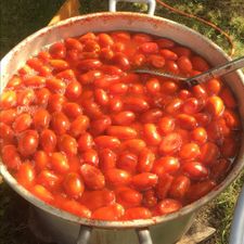 Profile image of Cook4