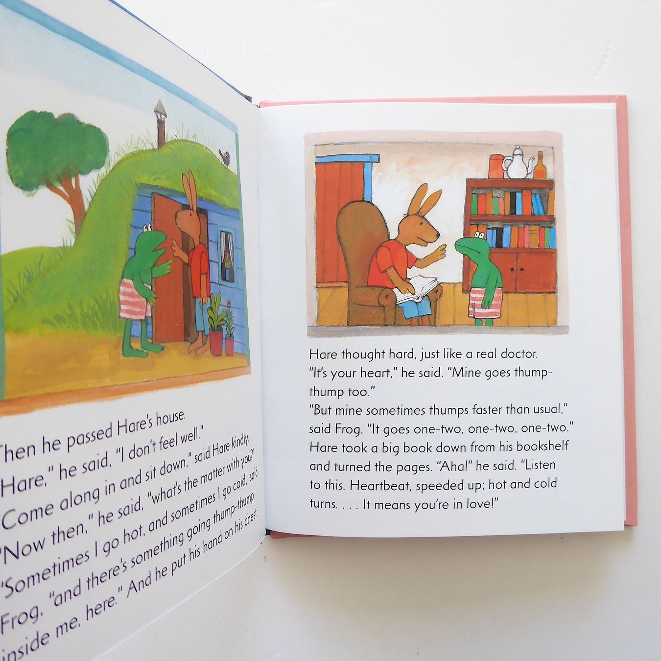Livres: Frog in Love - Max Velthuijs – D'occasion à Basel par Kunterbunt12 2