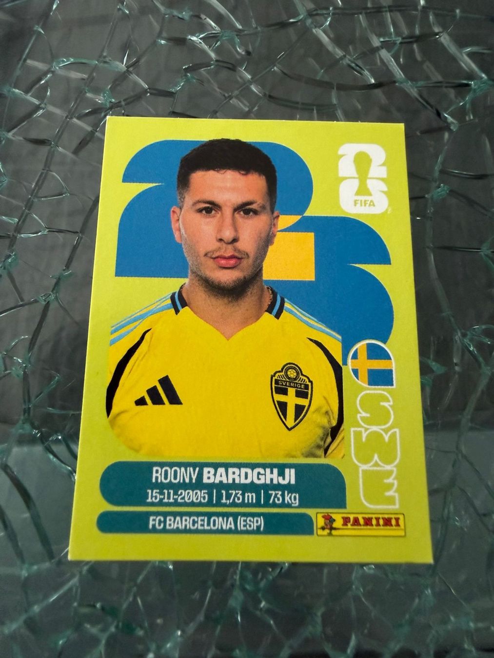 Panini Carte collezionabili: WM 2026 - Panini - Roony Bardghji - SWE 16 – Usato da Pfäffikon ZH venduto da Marcodesi76