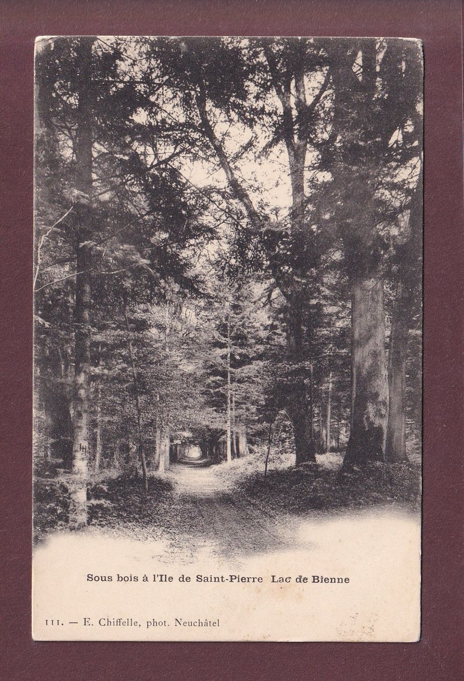 Cartoline postali: Lac de Bienne - ILE ST. PIERRE - Sous-Bois – Usato da Pully venduto da nicecards