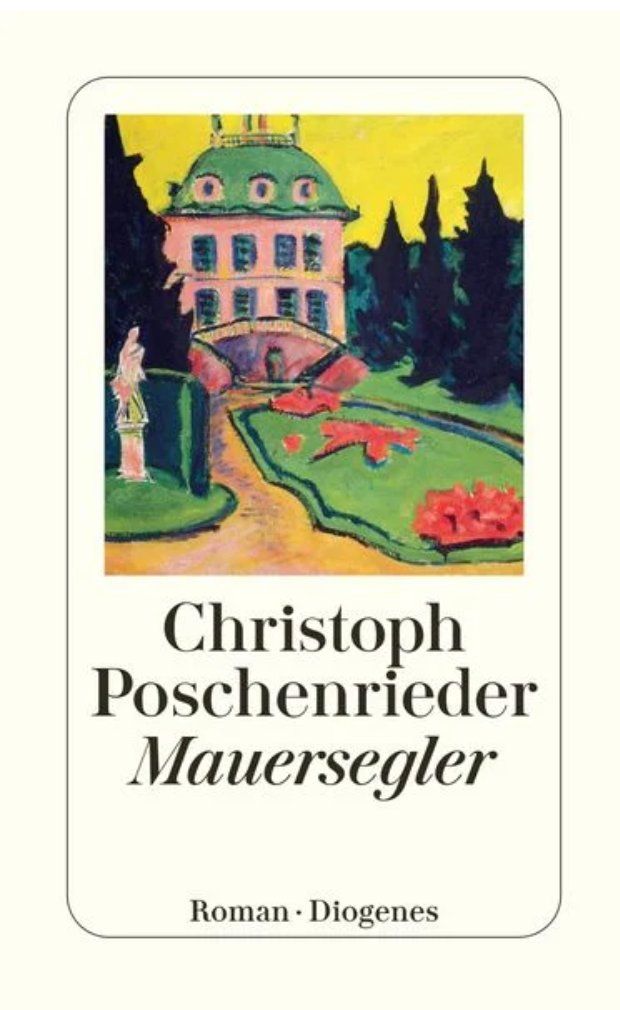 Livres: Mauersegler ROMAN – D'occasion à Frauenfeld par SCHATZtruhe369