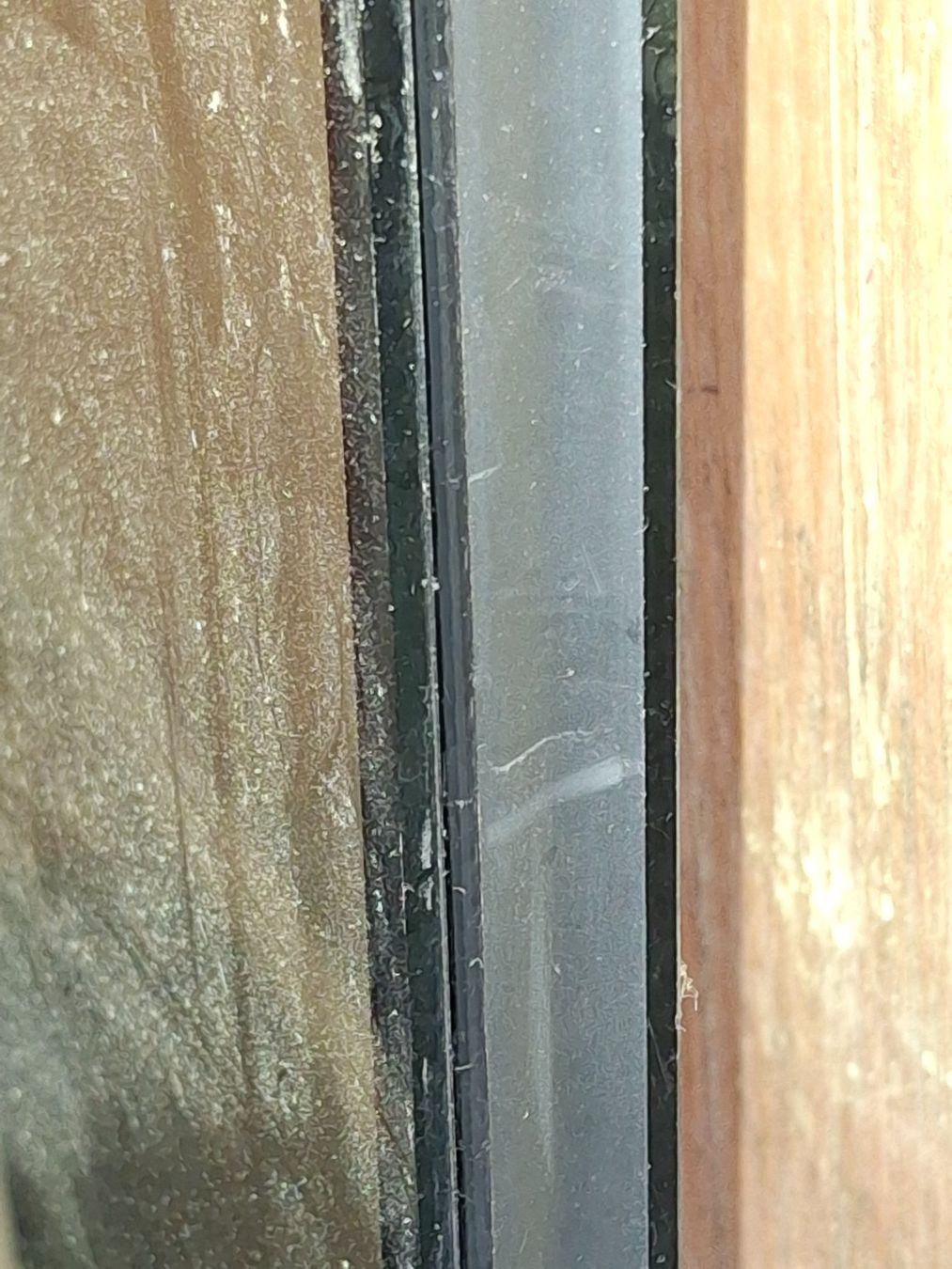 Bicchieri: ISO-Glas – Nuovo (secondo la descrizione) da Rothenfluh venduto da Gastoni