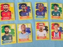 WM 2026 Sticker Panini 8 Stuck guter Zustand