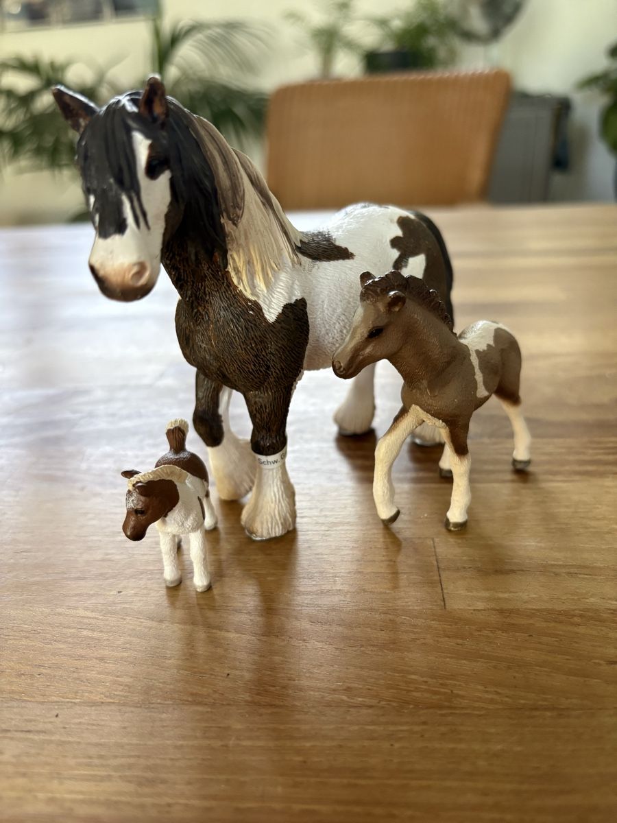 Schleich Jouets: Konvolut Schleich Pferde – D'occasion à Arlesheim par Eengelchen 3