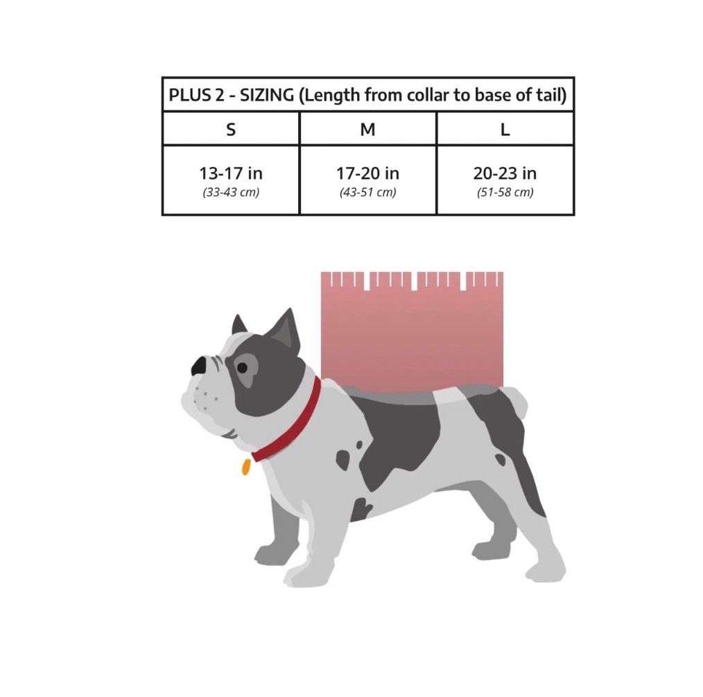 Zaini: K9 Sport Sack Plus 2. Grosse S. – Usato da Amriswil venduto da Howatson 3