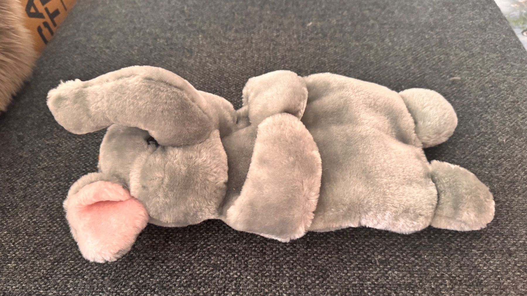 Altri elettrodomestici e apparecchi d’epoca: Elefant Bettflasche (neu) – Nuovo (secondo la descrizione) da Baar venduto da 001loulou 2