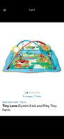 Tiny love farm baby gym