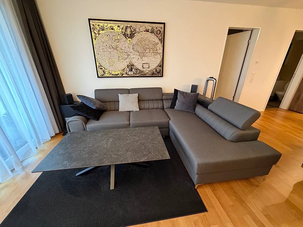 Divani: Sofa – Usato da Küsnacht ZH venduto da pet_65zf 2