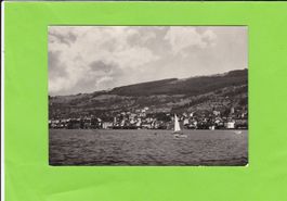 Rorschach, Blick auf die Landegg