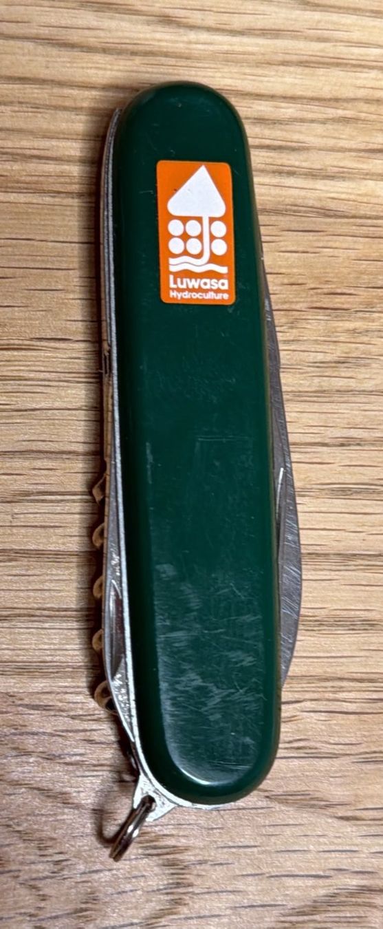 Solingen Coltelli tascabile: INOX SOLINGEN SACKMESSER LUWASA – Usato da Zürich venduto da Frei-Occasionen 2