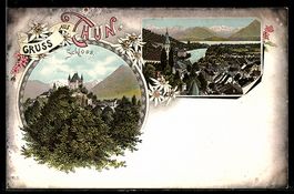 Lithographie Thun, Schloss, Totalansicht