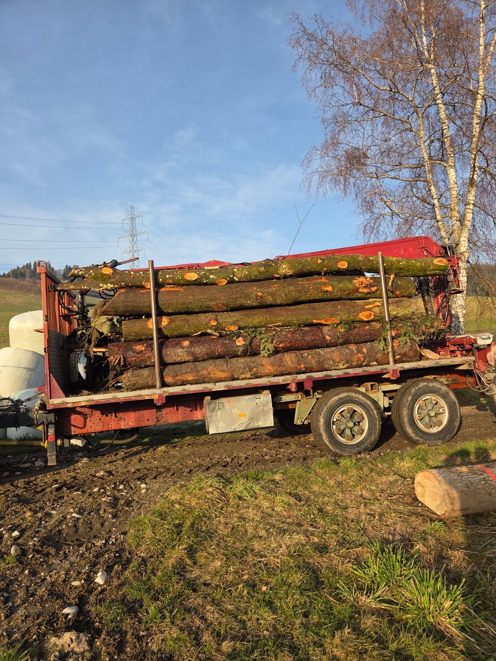 Rimorchi: Rückewagen – Usato da Zollbrück venduto da ThoBa2 1