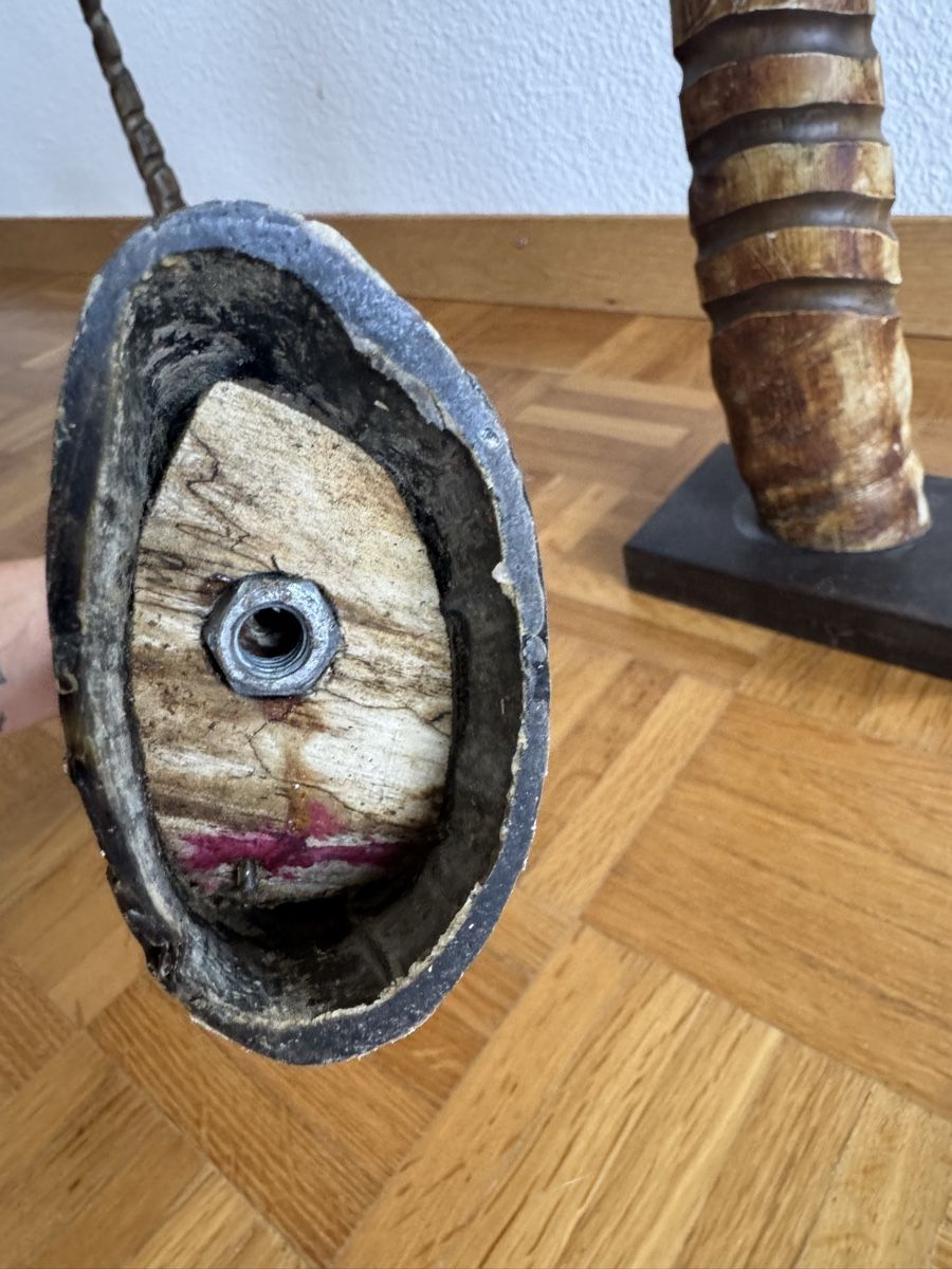 Altre raccolte & rarità: Hörner 2 Stück – Usato da Horgen venduto da BonnieBerlin 3