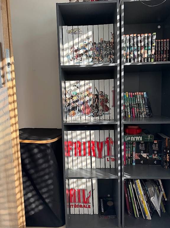 BD: Fairy Tail  Collection complète Hachette grand format – D'occasion à Genève par lau_2rj5