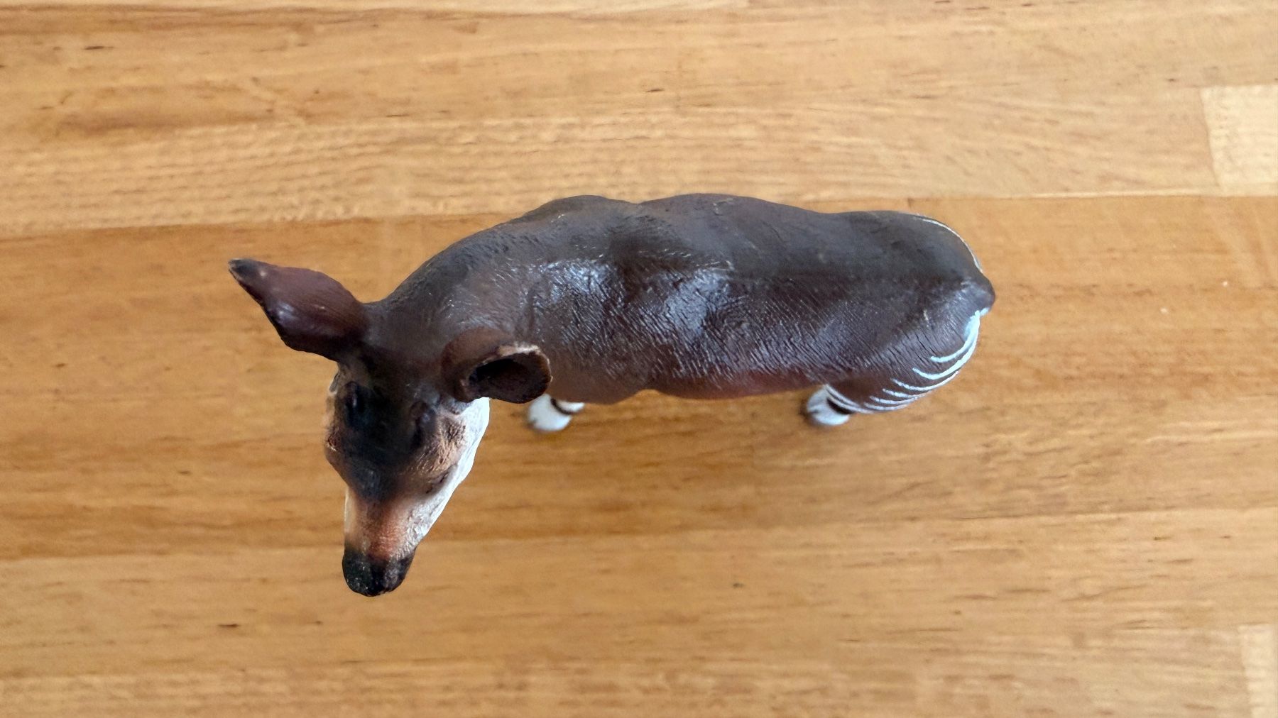 Schleich Giocattoli: SCHLEICH - Okapi 14830 – Usato da Winterthur venduto da Secondhand-Family 5