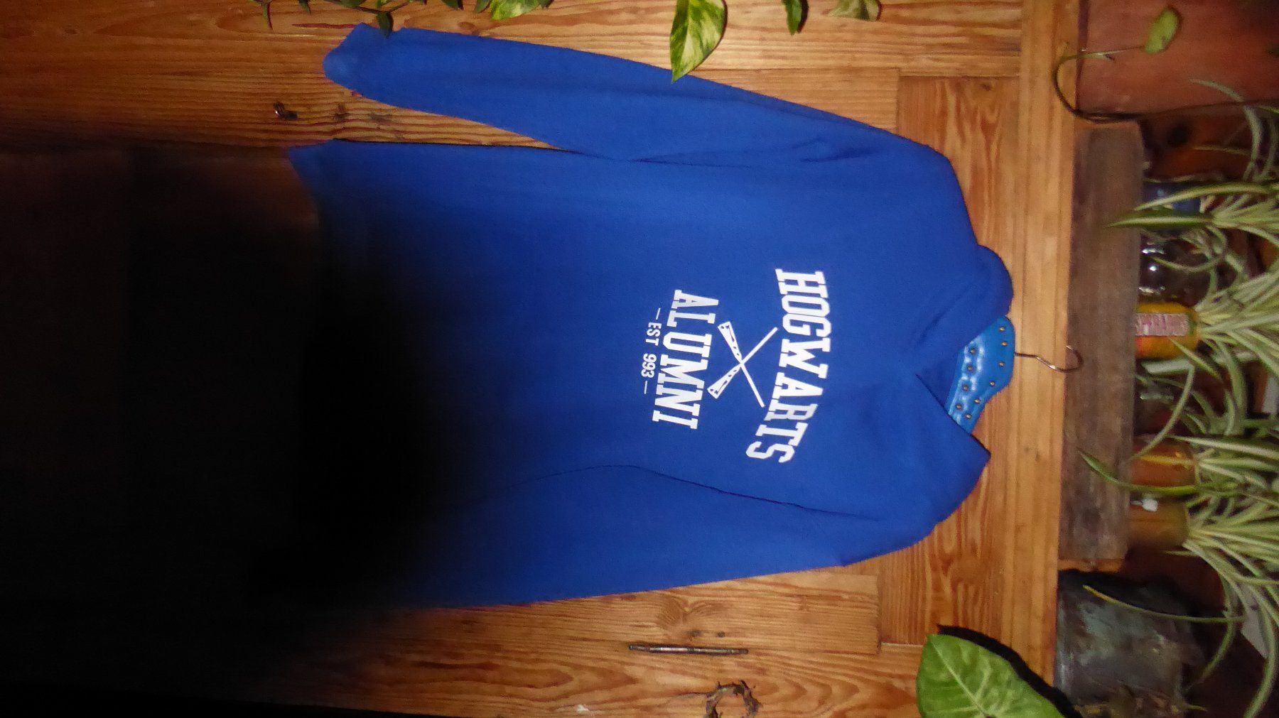 Maglioni & Felpe: Kaputzen Pullover Gr L HOGWARTS ALUMNI EST 993 – Usato da Sargans venduto da Benziner 1