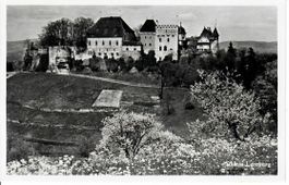 Schloss Lenzburg