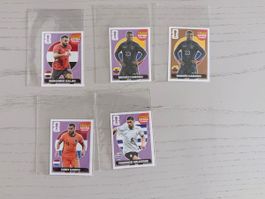 Panini FIFA World CUP 2026 Stickers: Gakpo, Caicedo & Co.