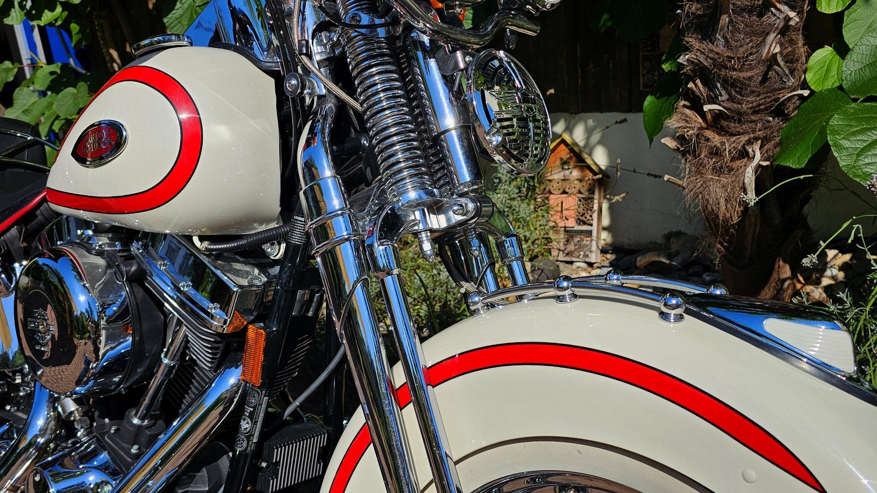Harley-Davidson Chopper: HARLEY-DAVIDSON FLSTS Heritage Springer – Usato da Gränichen venduto da favo 3