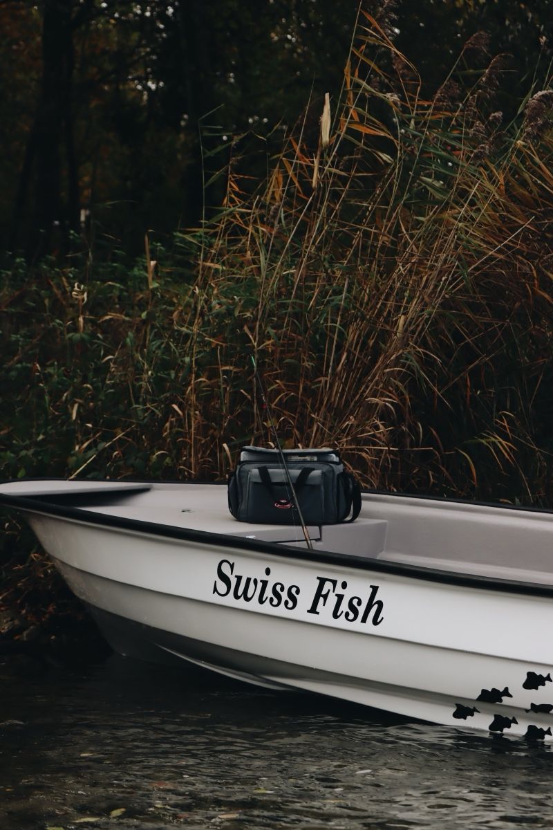 Barche: Swiss Fish Motorboot mit Mercury 8ps EFI – Nuovo (secondo la descrizione) da Solothurn venduto da Eduka72 3