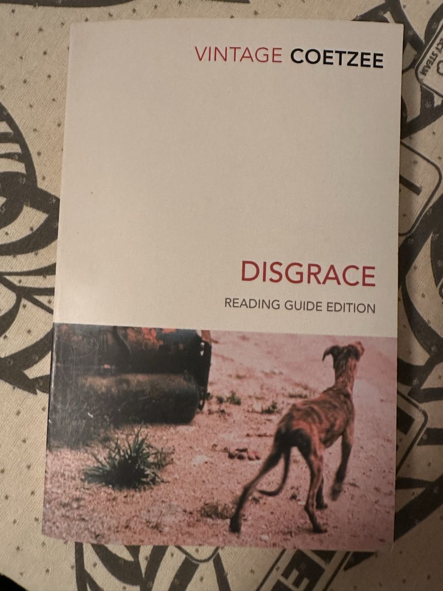 Livres: Coetzee, Disgrace, inkl. Reading Guide, Top! – D'occasion à Zürich par mhm_6rhw