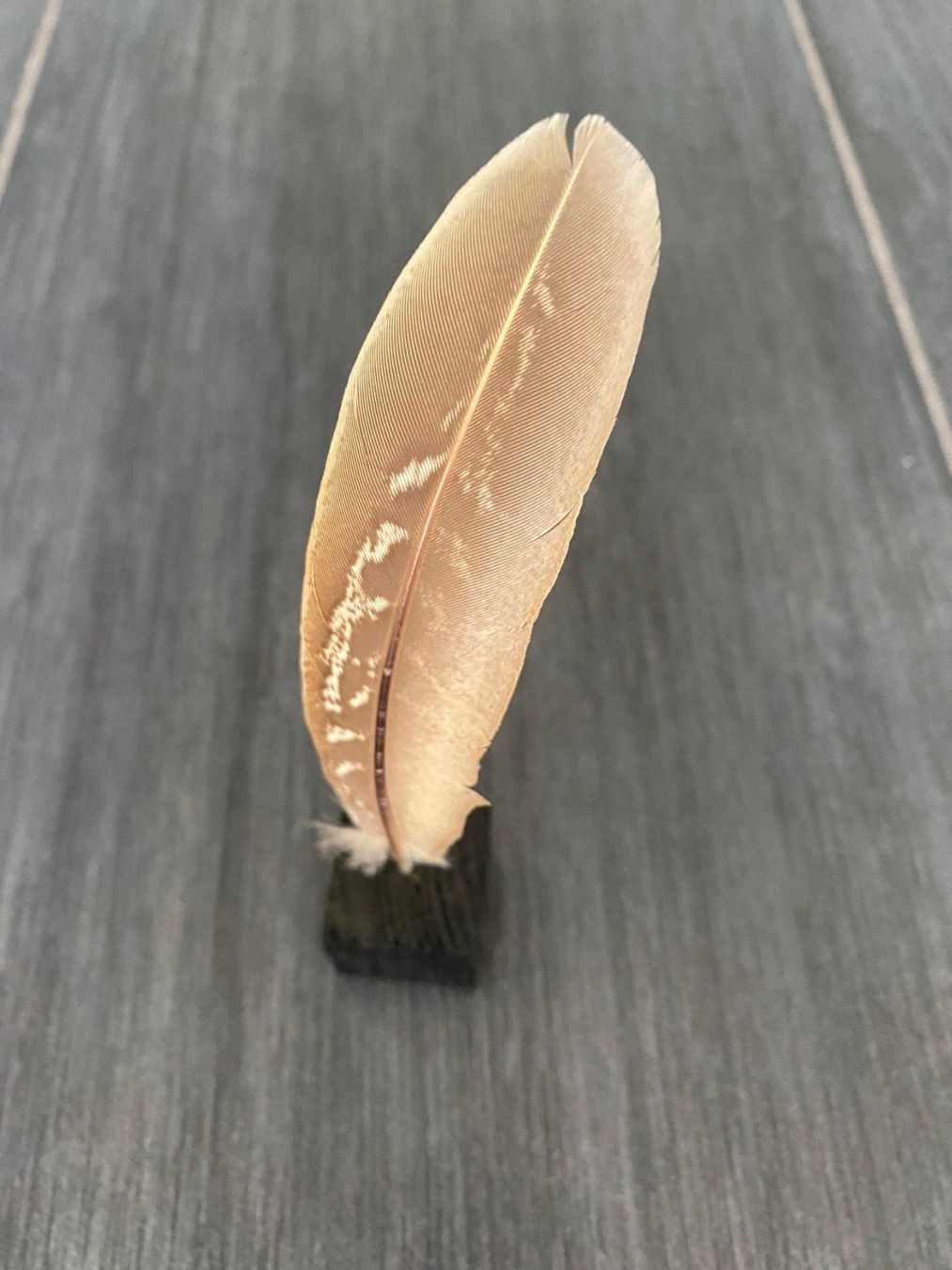 Tutte le decorazioni: Dekoobjekt "Feder" – Usato da Lachen SZ venduto da JLO-Creations 2