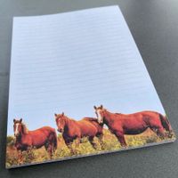 Block A6 🐎 - Stiftung „Gut Aiderbichl Schweiz“