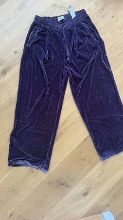 YOURTURN Samthose XS, Violett, Top Zustand!