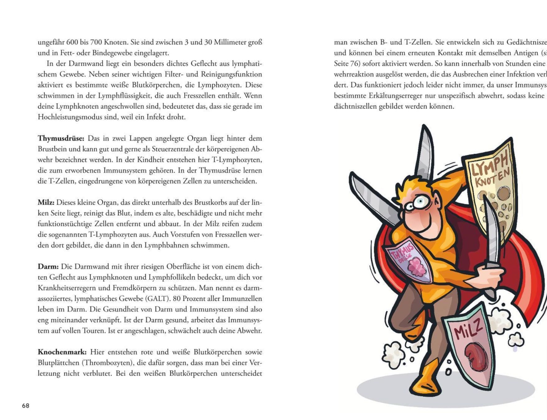 Livres: Die 3 großen Fitmacher – Neuf (Voir description) à Wagenhausen par M.Sieg 3