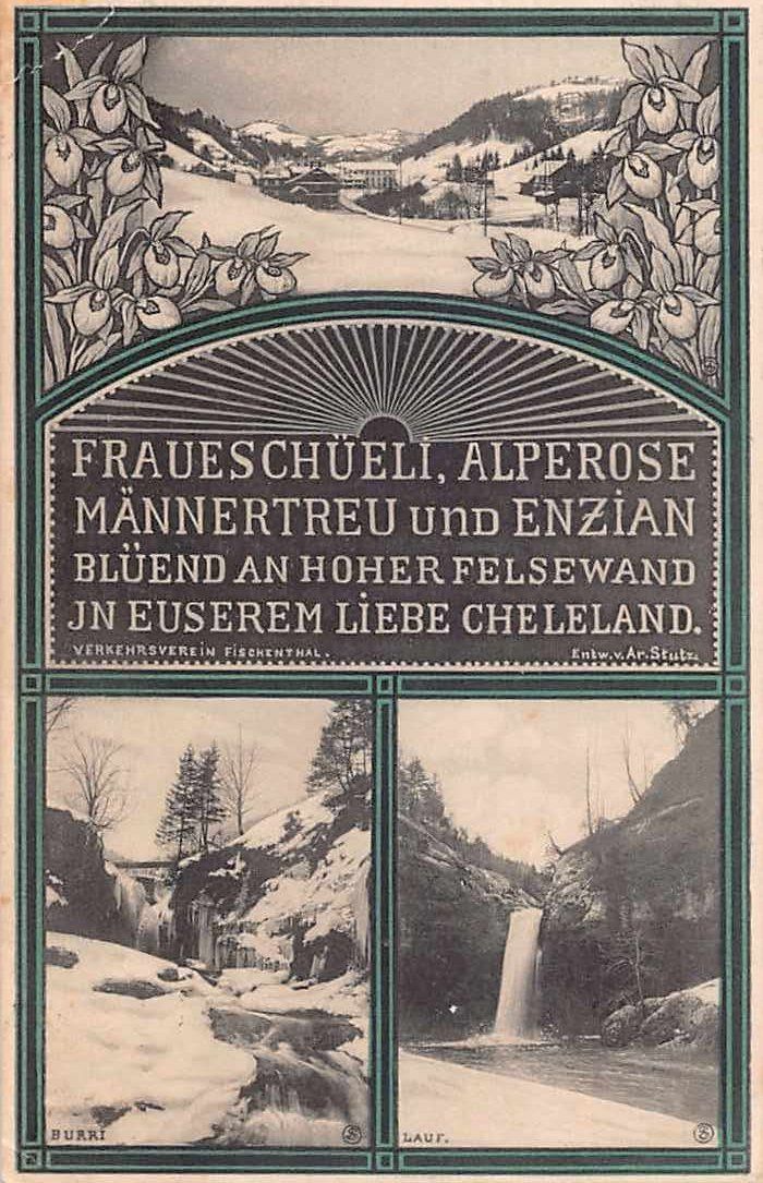 Cartoline postali: Schöne Ansichtskarte Fischenthal ZH Zürich 1916 – Usato da Winterthur venduto da SchatzchischtliWinti