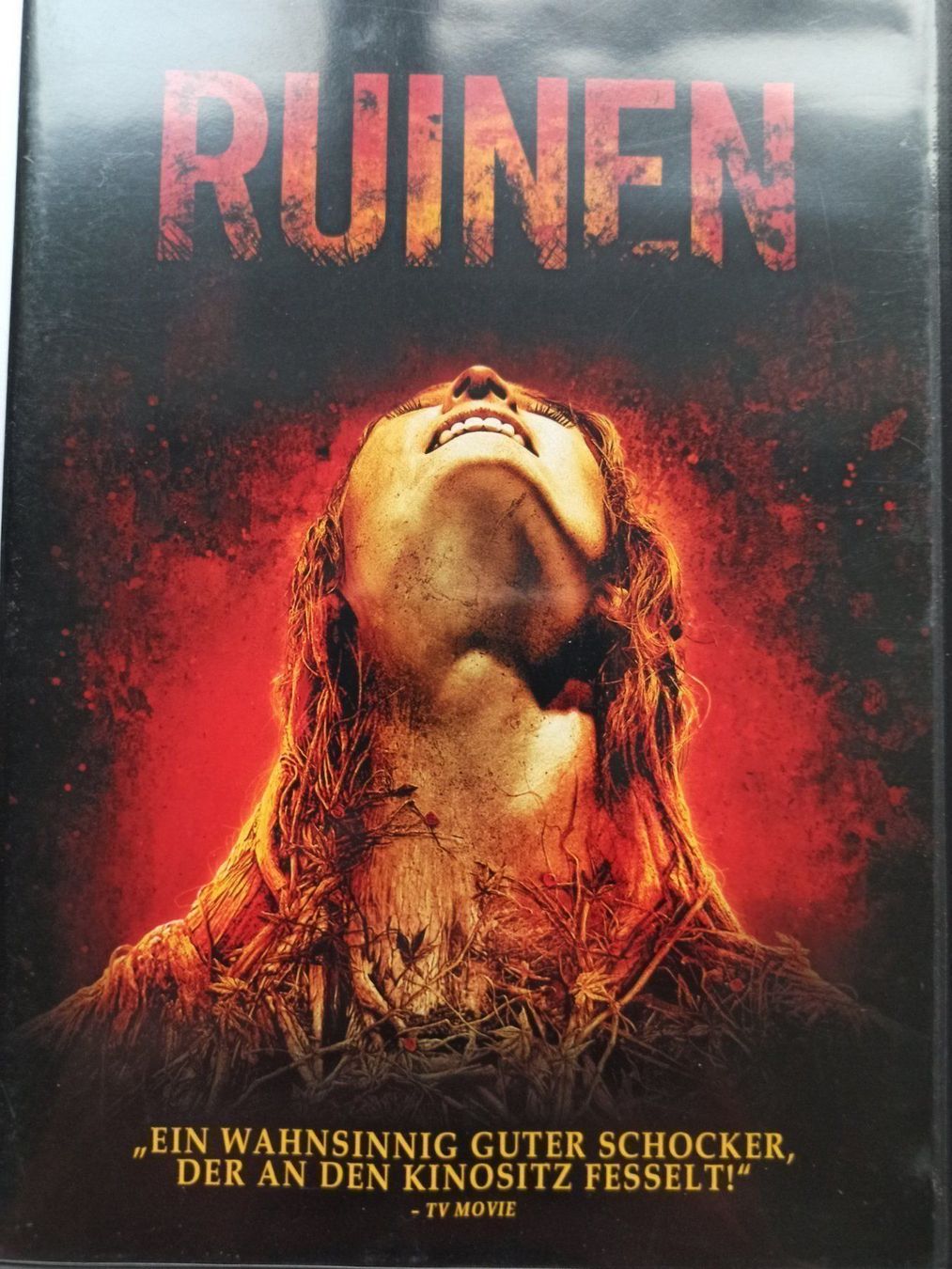 Tutti i DVDs: Ruinen – Usato da Dübendorf venduto da kb86_MOVIE
