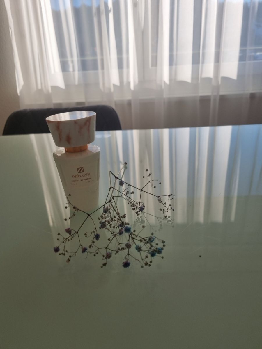 Chogan Profumi & Eau de Toilette: Chogan Parfüm 122 – Nuovo e nell'imballaggio originale da Effretikon venduto da jku_hvr9 1