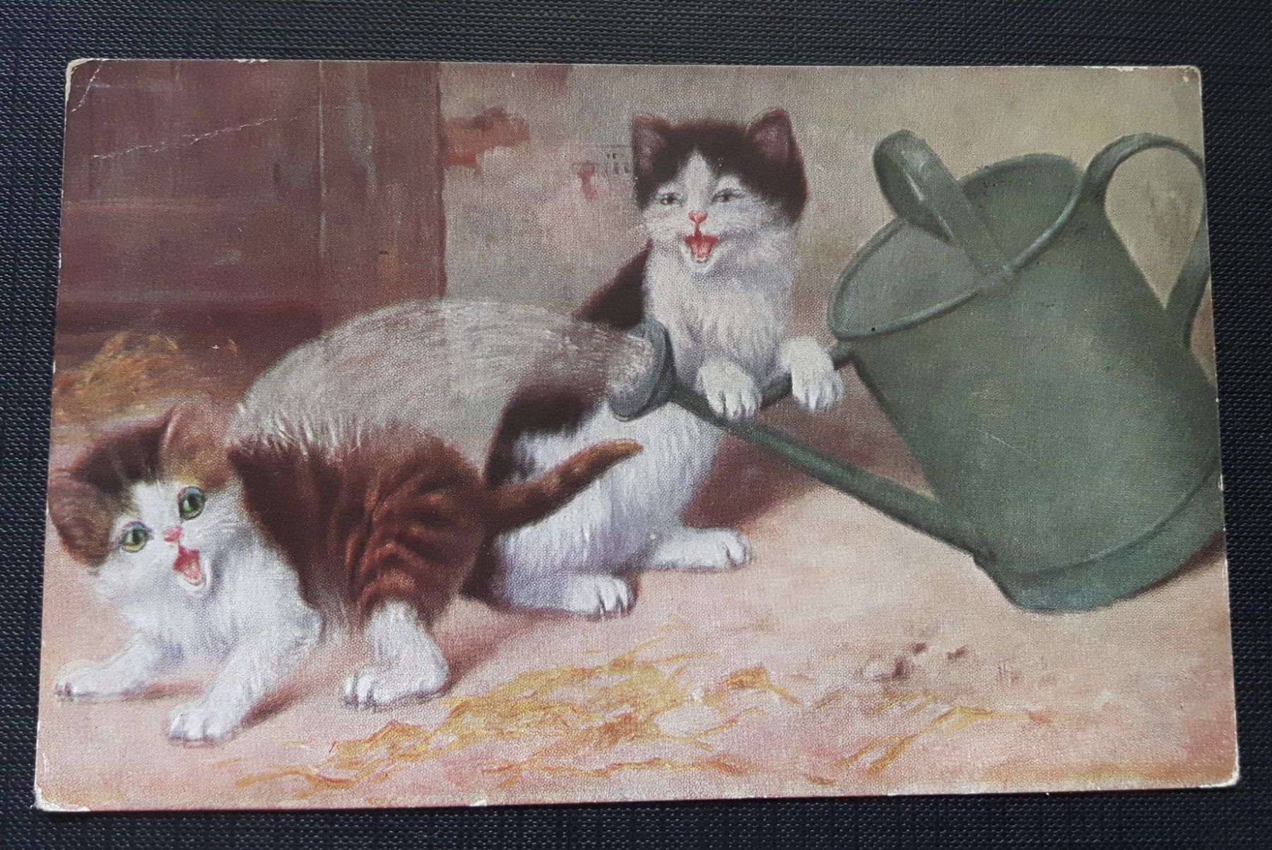 Cartoline postali: lustige Katzenkarte – Usato da Zürich venduto da brinkosos