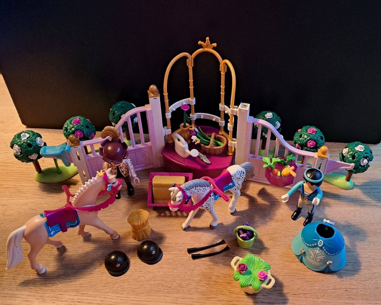 Playmobil Giocattoli: Playmobil Reitunterricht – Usato da Lampenberg venduto da bro_5ljb