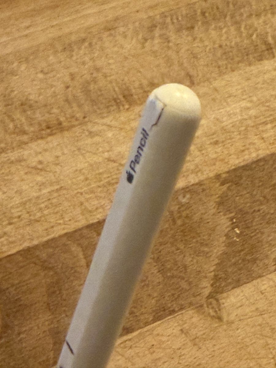Apple Penna & Evidenziatori: Apple-Pencil (2. Generation) – Usato da Jegenstorf venduto da zuloid 2