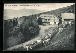 AK Ottenleuebad, Blick auf das Kurhaus