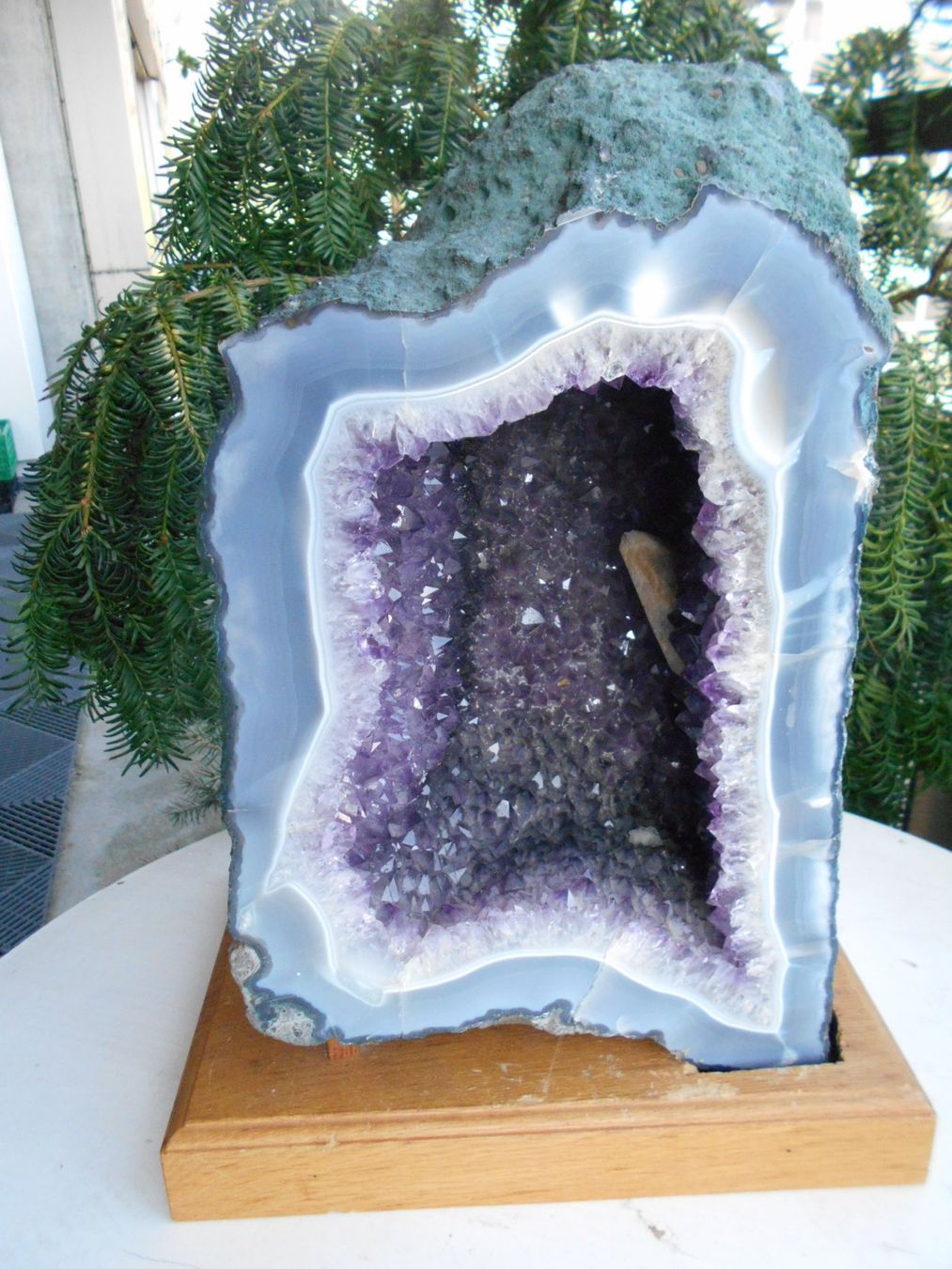 Minerali & Pietre curative: Amethystdruse mit breitem Achatrand ca. 15 kg – Nuovo (secondo la descrizione) da Zürich venduto da swisscristal01