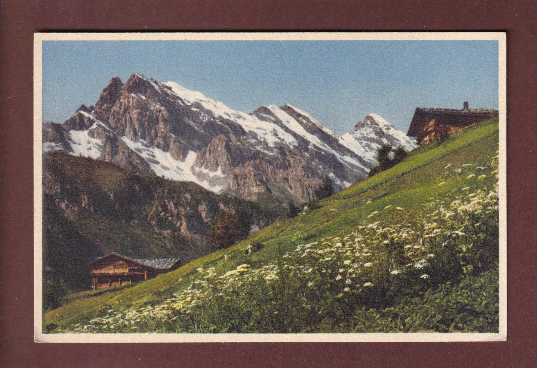 Cartoline postali: BERNER OBERLAND - Sommerlandschaft – Usato da Pully venduto da nicecards