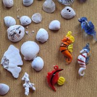 Meeresschätze Set: Muscheln & Glasfiguren - aus Florida!