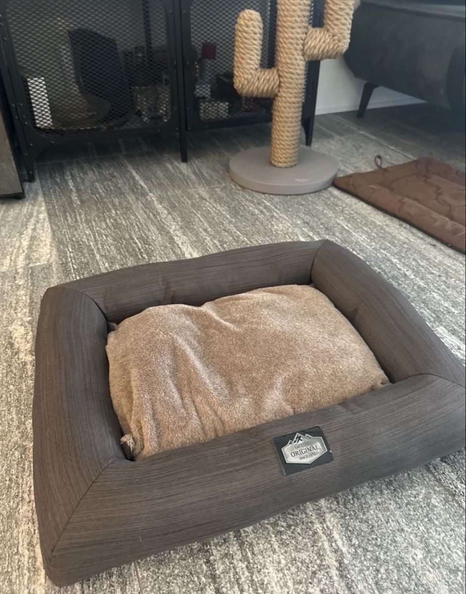 Cucce & Letti: Comfy & Warm Pet Bed for small dogs or cats – Nuovo (secondo la descrizione) da Sementina venduto da NinaDel