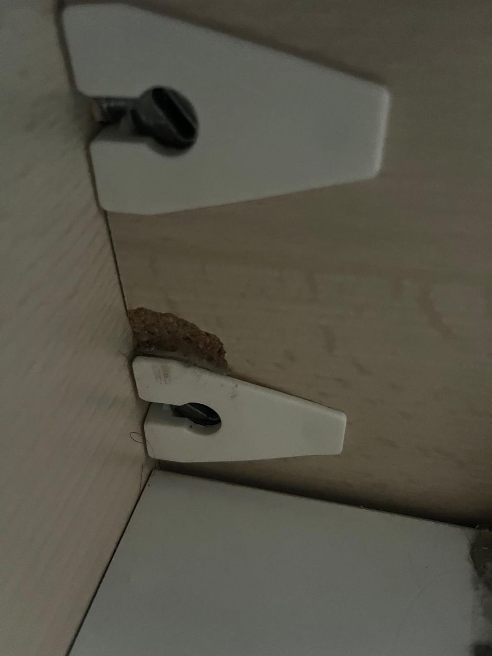 Letti: Bett inkl. Lattenrost und Regal – Usato da Zell LU venduto da GRCL 4