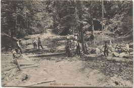 WILDBACH-VERBAUUNG BE 1909 Landwirtschaft