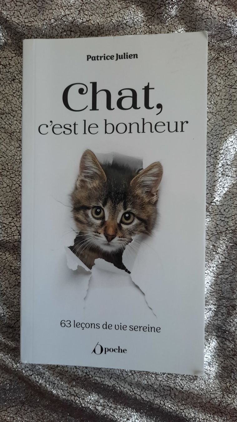 Libri: 100% CHATS – Usato da Lausanne venduto da BrigitteAnne 3