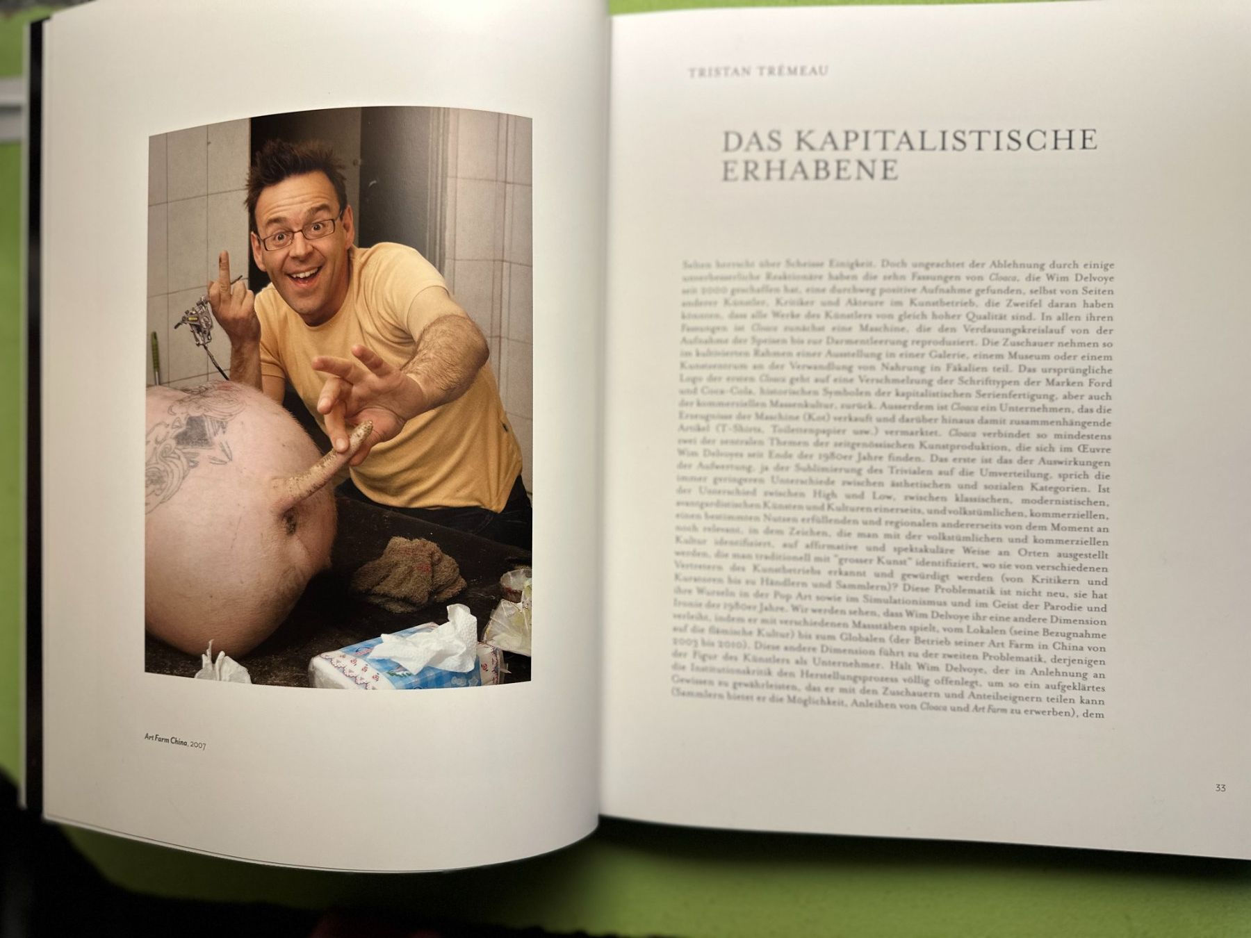 Libri: Wim Delvoye. Museum Tinguely Basel 2017 – Usato da Zürich venduto da allp 4