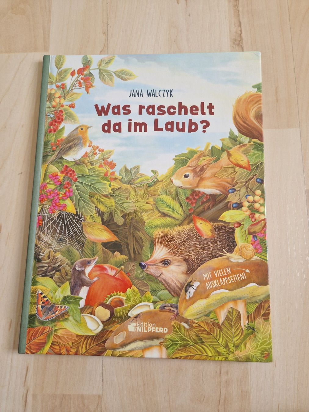 Bücher: Buch was raschelt da im Laub – Gebraucht aus Balterswil von Little-nemo