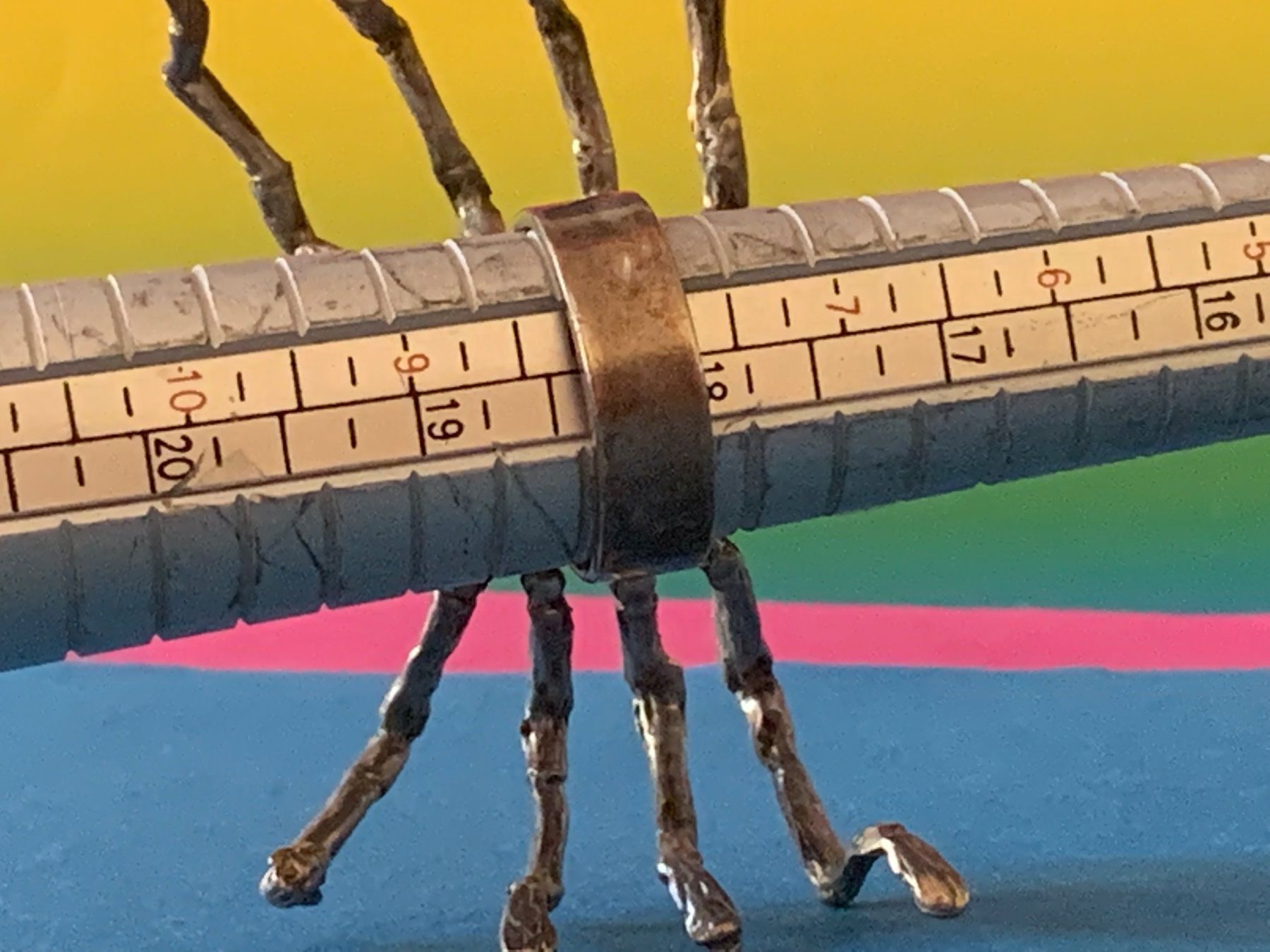 Anelli: SILBERRING Grosse SPINNE (57) – Usato da Dittingen venduto da Bijoubelle 9