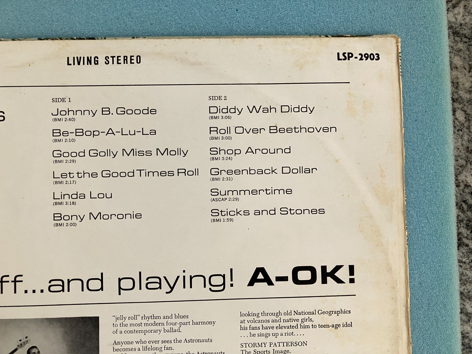 Dischi in vinile: The Astronauts – Usato da Aarwangen venduto da Jukebox3 3