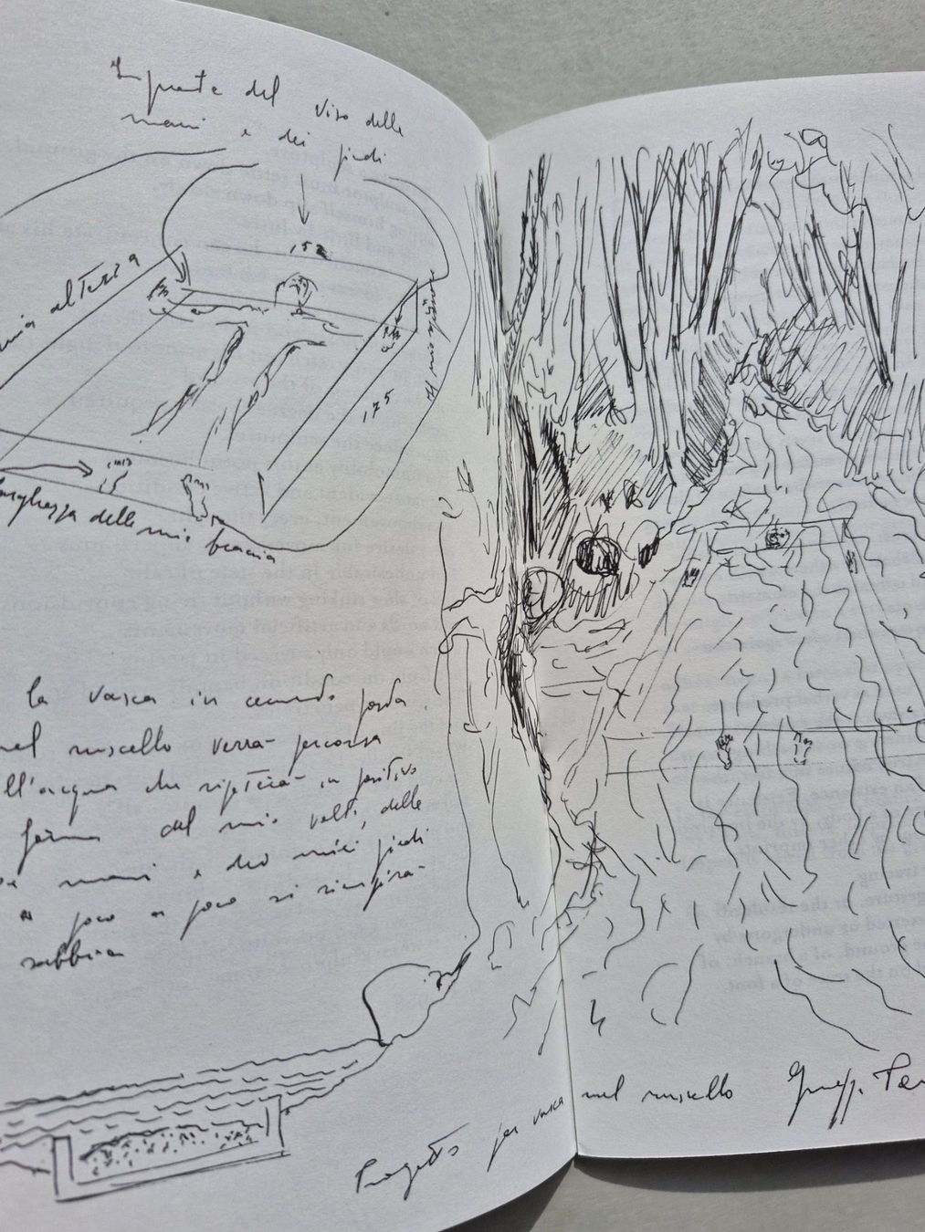 Libri: Giuseppe Penone: Germinazione, Arte Povera – Usato da Zürich venduto da Secretariat11 4